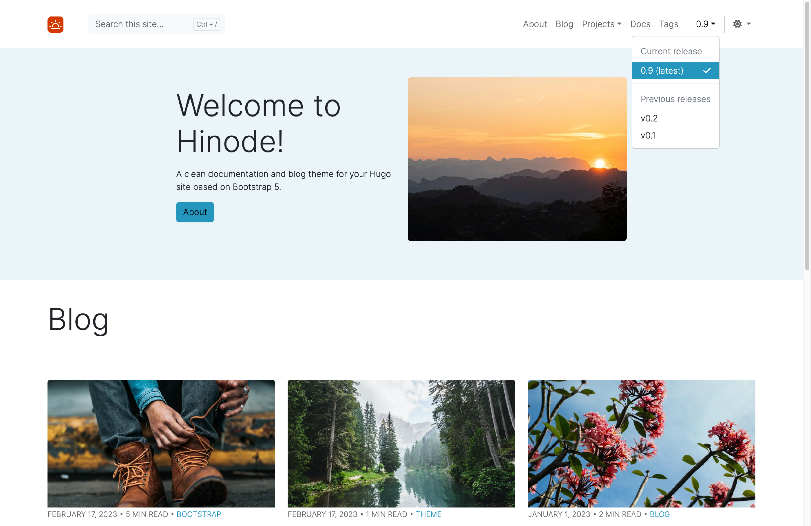 Branch-Deployed Site for Release V0.9